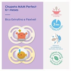 CHUPETA MAM PERFECT 6+ MESES - EMBALAGEM DUPLA NEUTRA